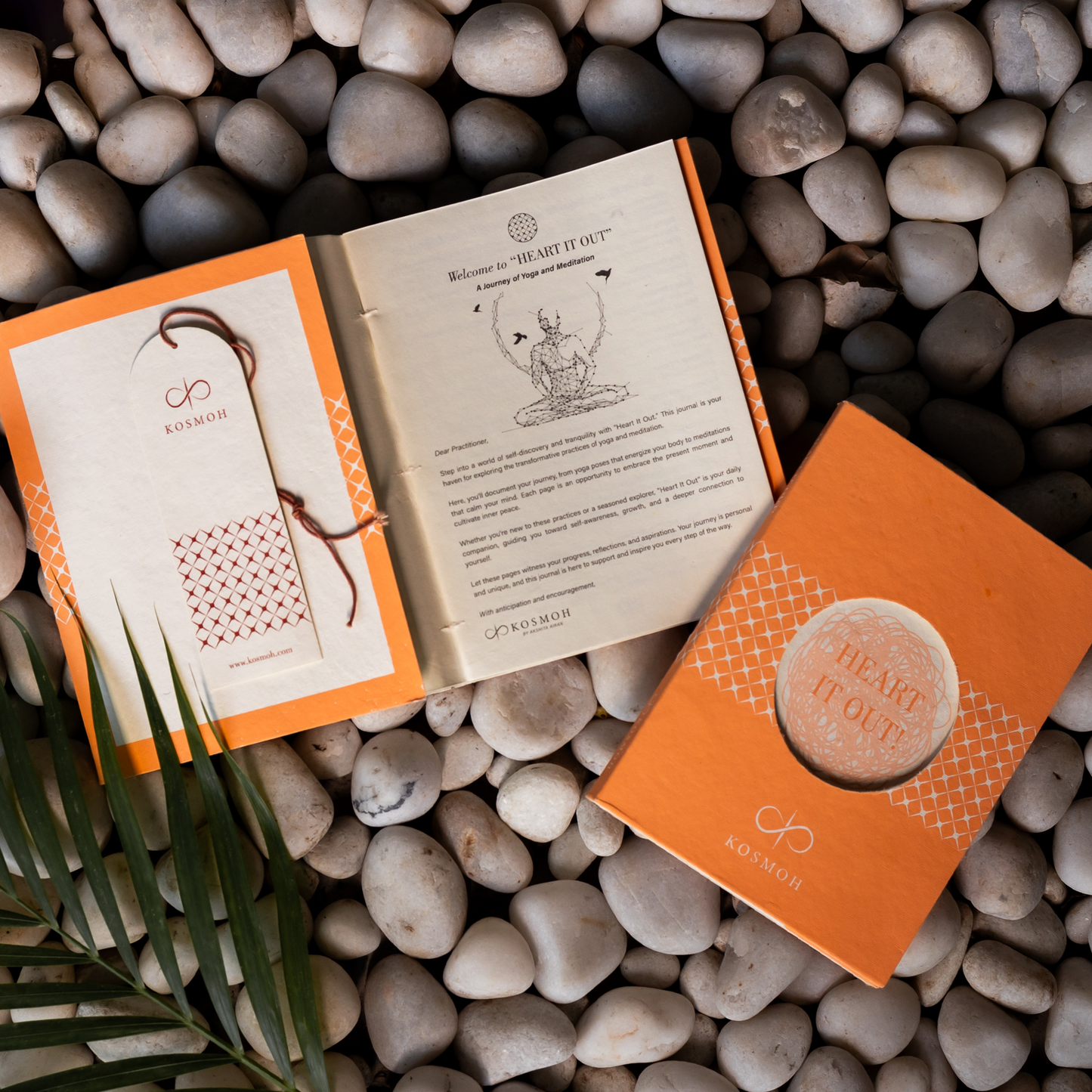 Meditation Journal